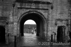 IMG_0130
