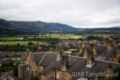 IMG_0134