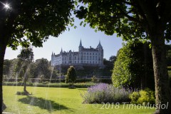 IMG_0619