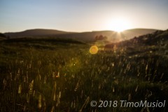 IMG_0750