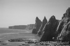 IMG_0821