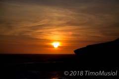 IMG_0986