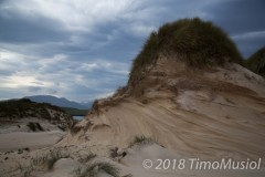 IMG_1136