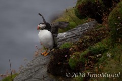 IMG_1453