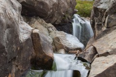 IMG_1628