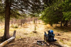 20190507_Alaska-10