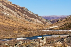 20190516_Alaska-5