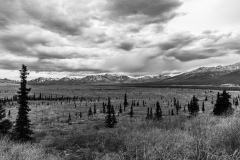 20190517_Alaska-9