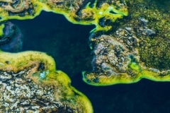 20190522_Alaska-16