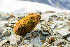 20190527_Alaska-23