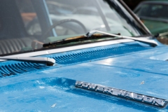 20190529_Alaska-15
