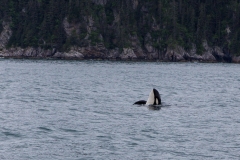 20190612_Alaska-6