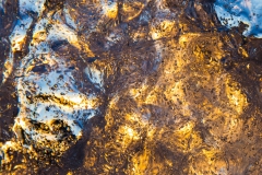 20190620_Alaska-18