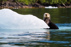 20190620_Alaska-6