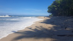 20190808_084935