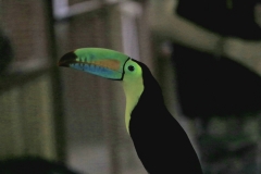 20190817_131352