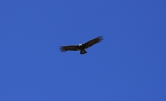 20191102_185845